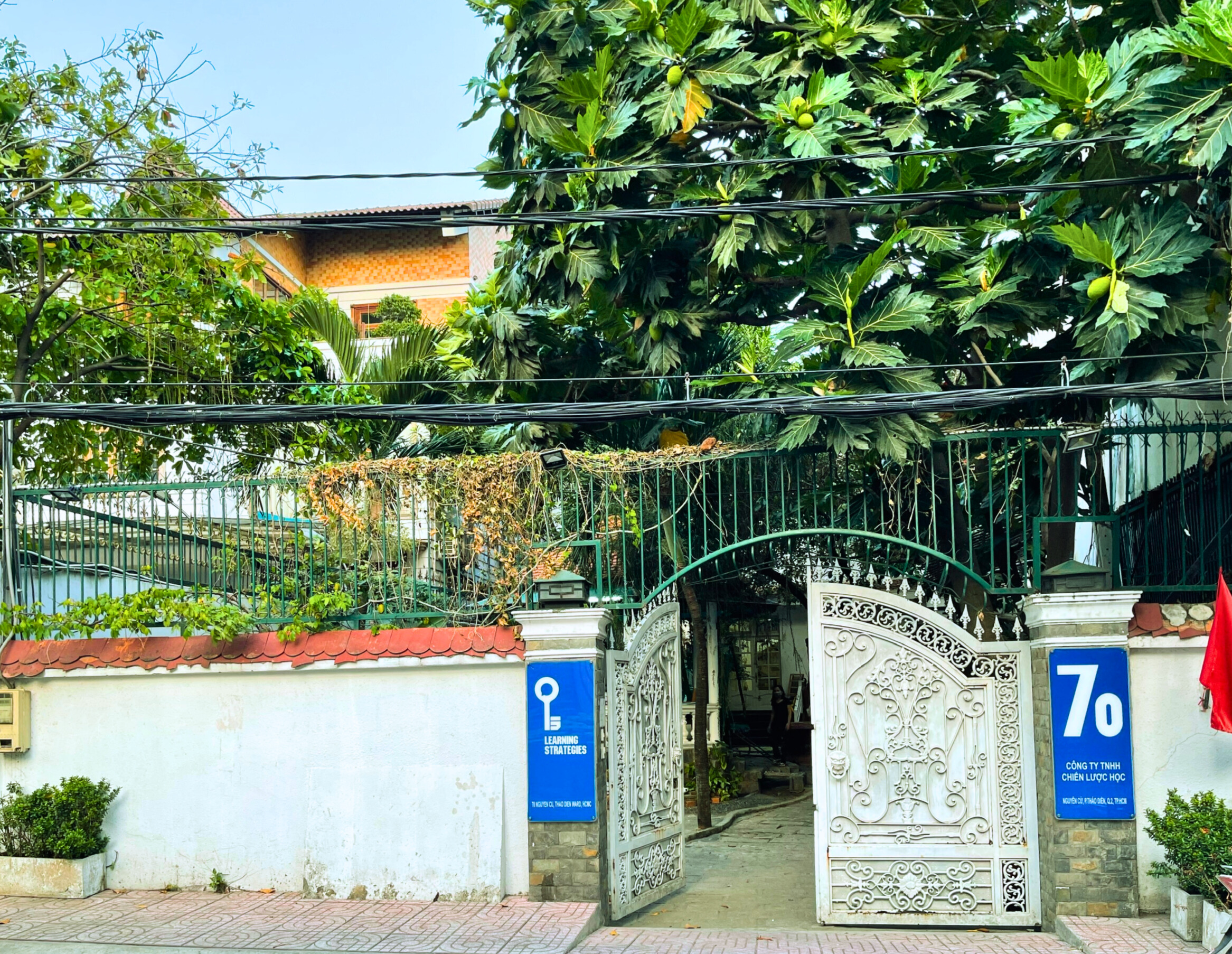 opt_service_image_contact